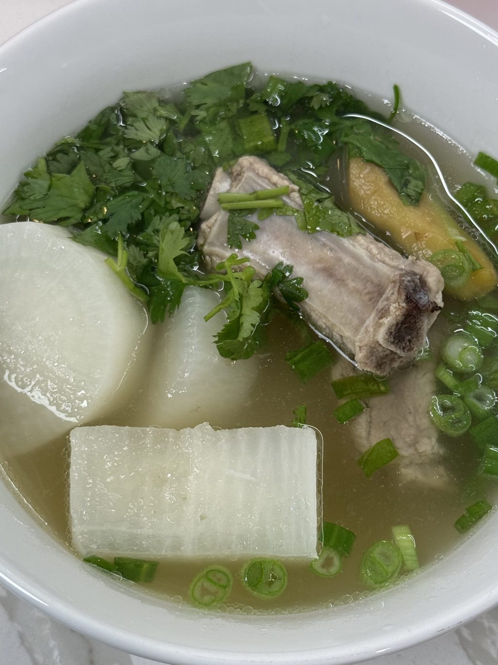 daikon and pork rib soup