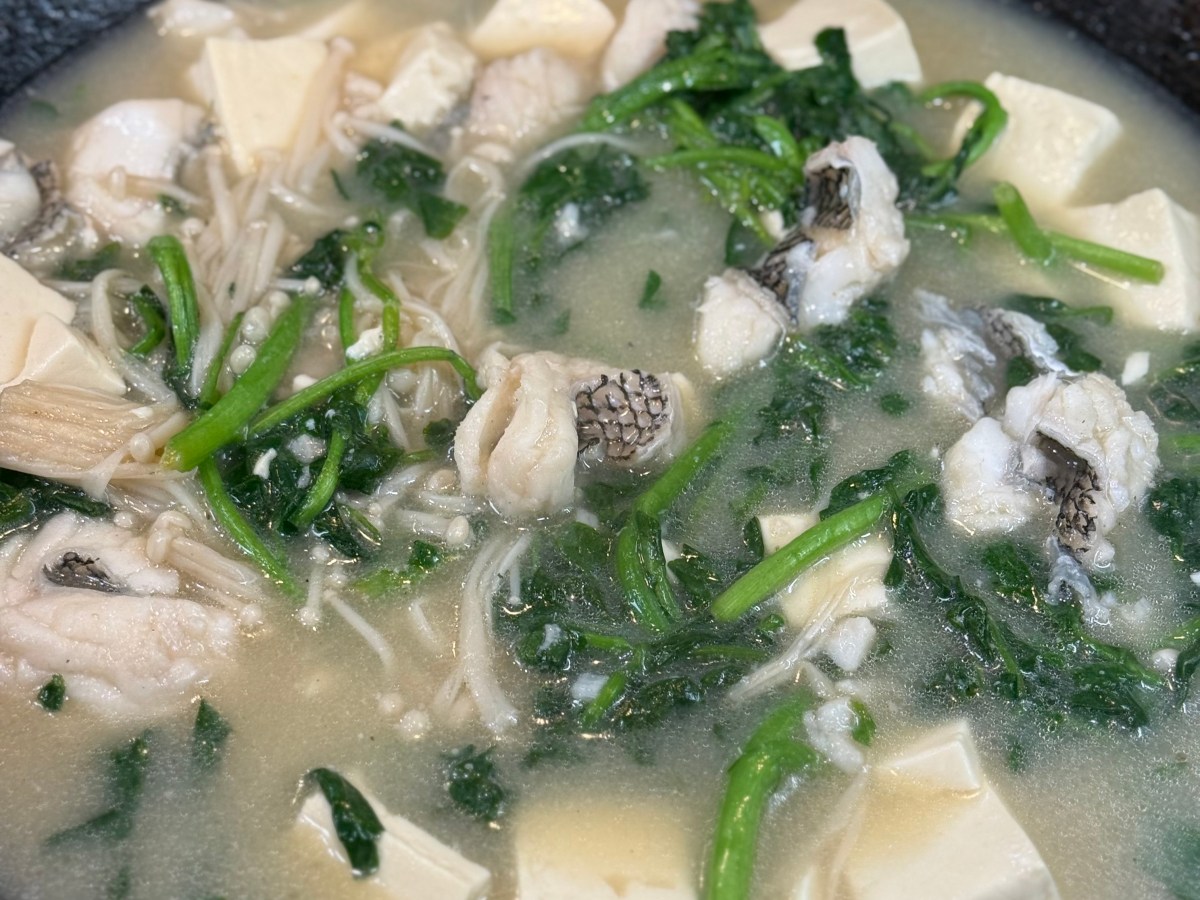 milky fish soup